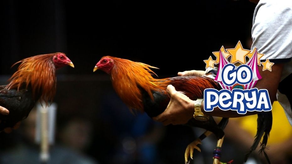 davao win casino login how to place a street bet in roulette